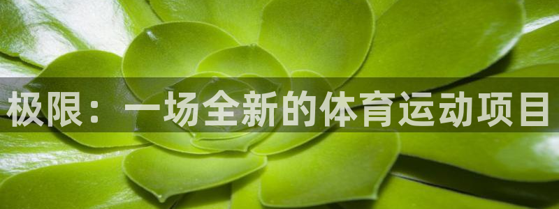 一竞技官方正版app集团E.ON：极限：一场全新的体