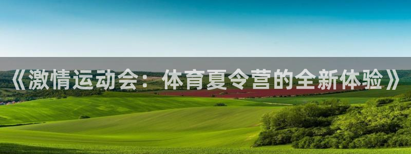 一竞技官网下载招商：《激情运动会：体育夏令营的全新体