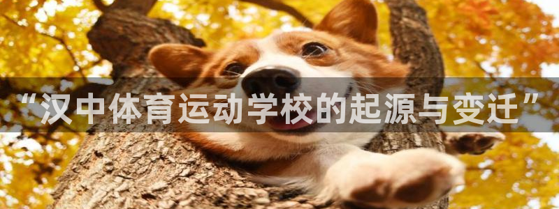 一竞技官网下载官方客服电话：“汉中体育运动学校的起源
