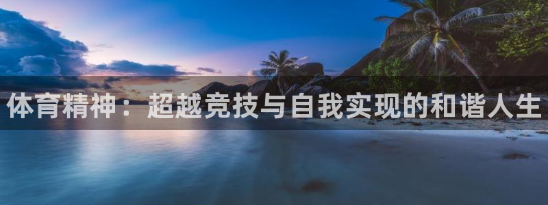 一竞技官网下载招商：体育精神：超越竞技与自我实现的和