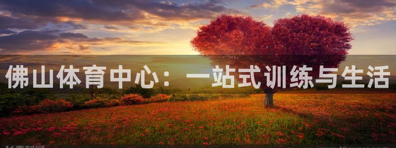 一竞技官网下载招商电话：佛山体育中心：一站式训练与生