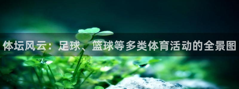 一竞技官网下载招商电话号码是多少啊：体坛风云：足球、