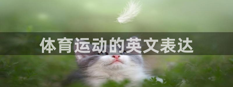 一竞技官方正版app代理：体育运动的英文表达