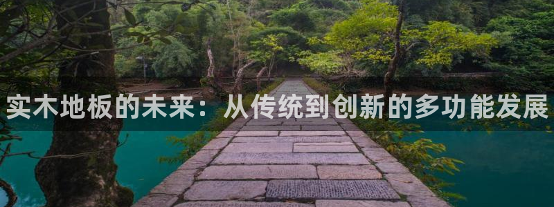海南一竞技官网下载发展怎么样