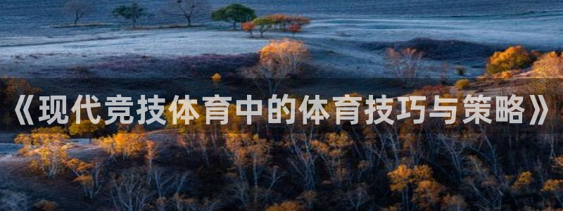 一竞技官网下载招商电话地址：《现代竞技体育中的体育技巧与策略