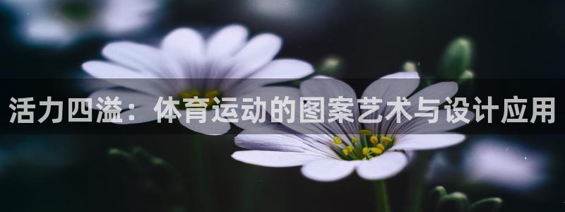 一竞技官网下载招商电话号码查询：活力四溢：体育运动的图案艺术