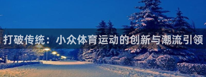 海南一竞技官网下载：打破传统：小众体育运动的创新与潮流引领