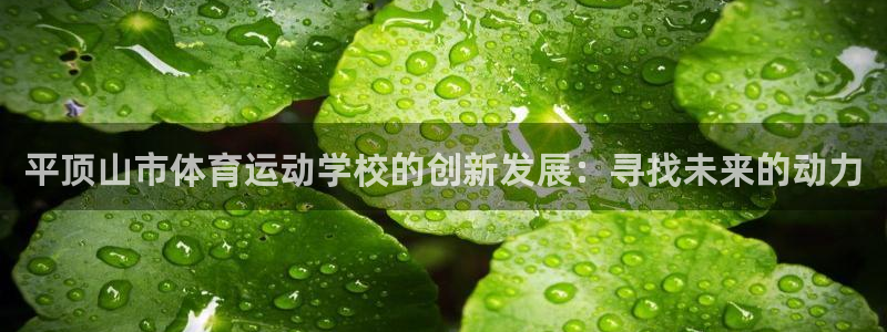 一竞技官方正版app神州：平顶山市体育运动学校的创新发展：寻