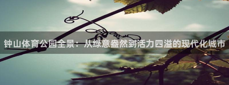 一竞技官网下载平台注册要钱吗：钟山体育公园全景：从绿意盎然到