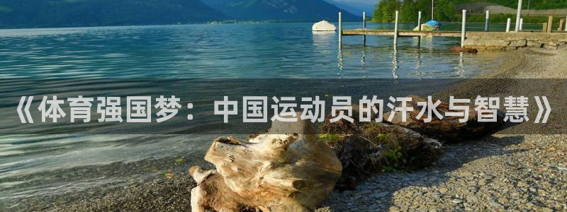 海南一竞技官网下载：《体育强国梦：中国运动员的汗水与