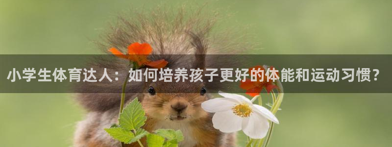 一竞技官方正版app集团E.ON：小学生体育达人：如
