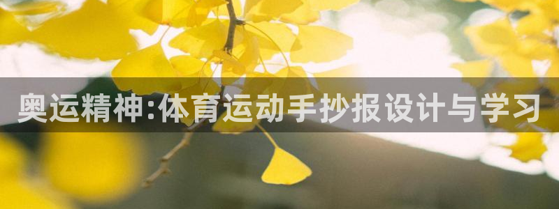 一竞技官方正版app五金厂：奥运精神:体育运动手抄报