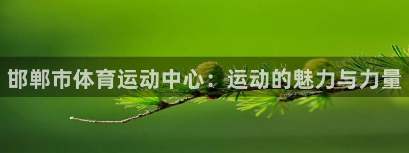 一竞技官网下载招商电话地址：邯郸市体育运动中心：运动的魅力与