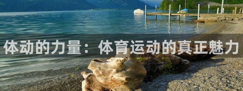 一竞技官方正版app娱乐网站：体动的力量：体育运动的真正魅力