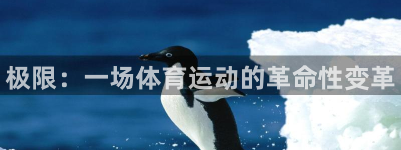 一竞技官网下载招商电话是多少号码：极限：一场体育运动的革命性