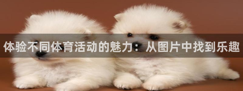 一竞技官方正版app科技