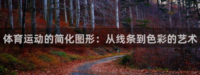 一竞技官方正版app五金厂：体育运动的简化图形：从线条到色彩