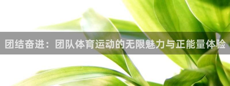 一竞技官方正版app官网：团结奋进：团队体育运动的无