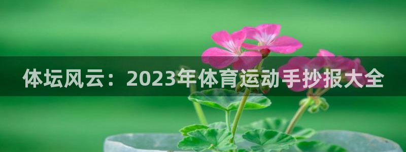 一竞技官网下载开户：体坛风云：2023年体育运动手抄报大全
