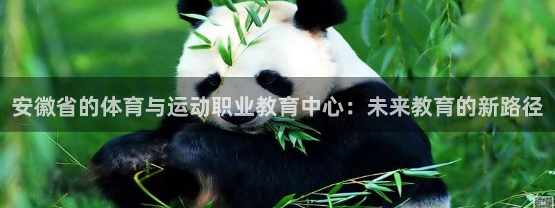 一竞技入口：安徽省的体育与运动职业教