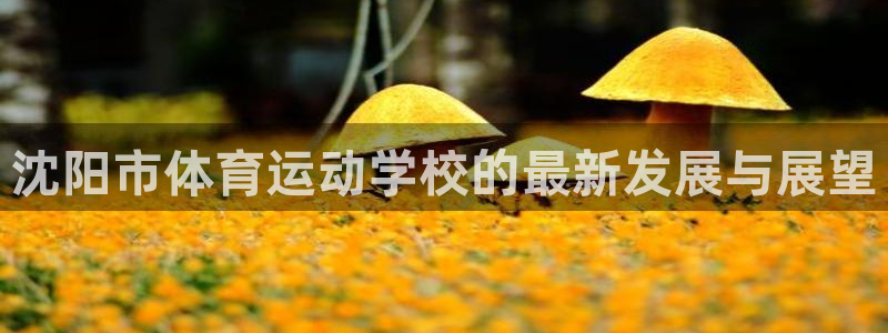 一竞技平台测速：沈阳市体育运动学校的