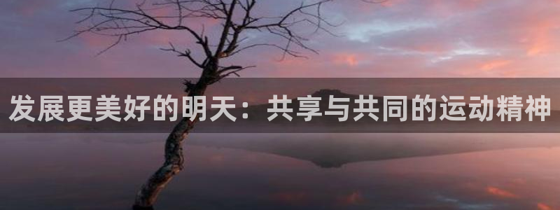一竞技one卡安不安全：发展更美好的