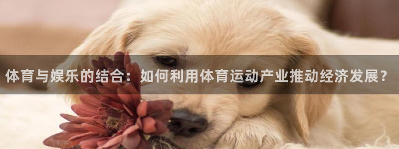 一竞技官网下载安装：体育与娱乐的结合